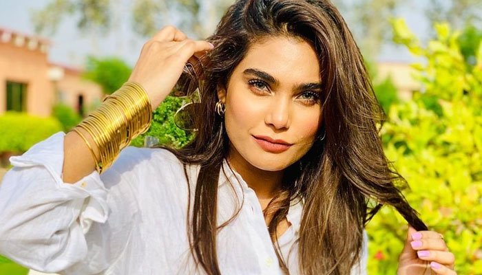 پی آئی اے کے بدقسمت طیارے میں ماڈل زارا عابد کی بھی موجودگی کی اطلاعات
