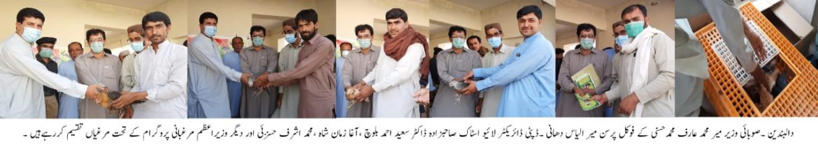 دالبندین ، وزیر اعظم پروگرام کے تحت رعایتی نرخوں پر مرغیاں تقسیم