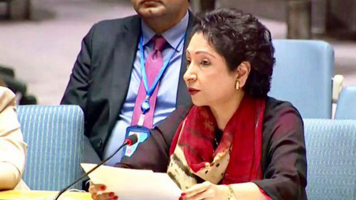 بے ترتیب دنیا پر گشت