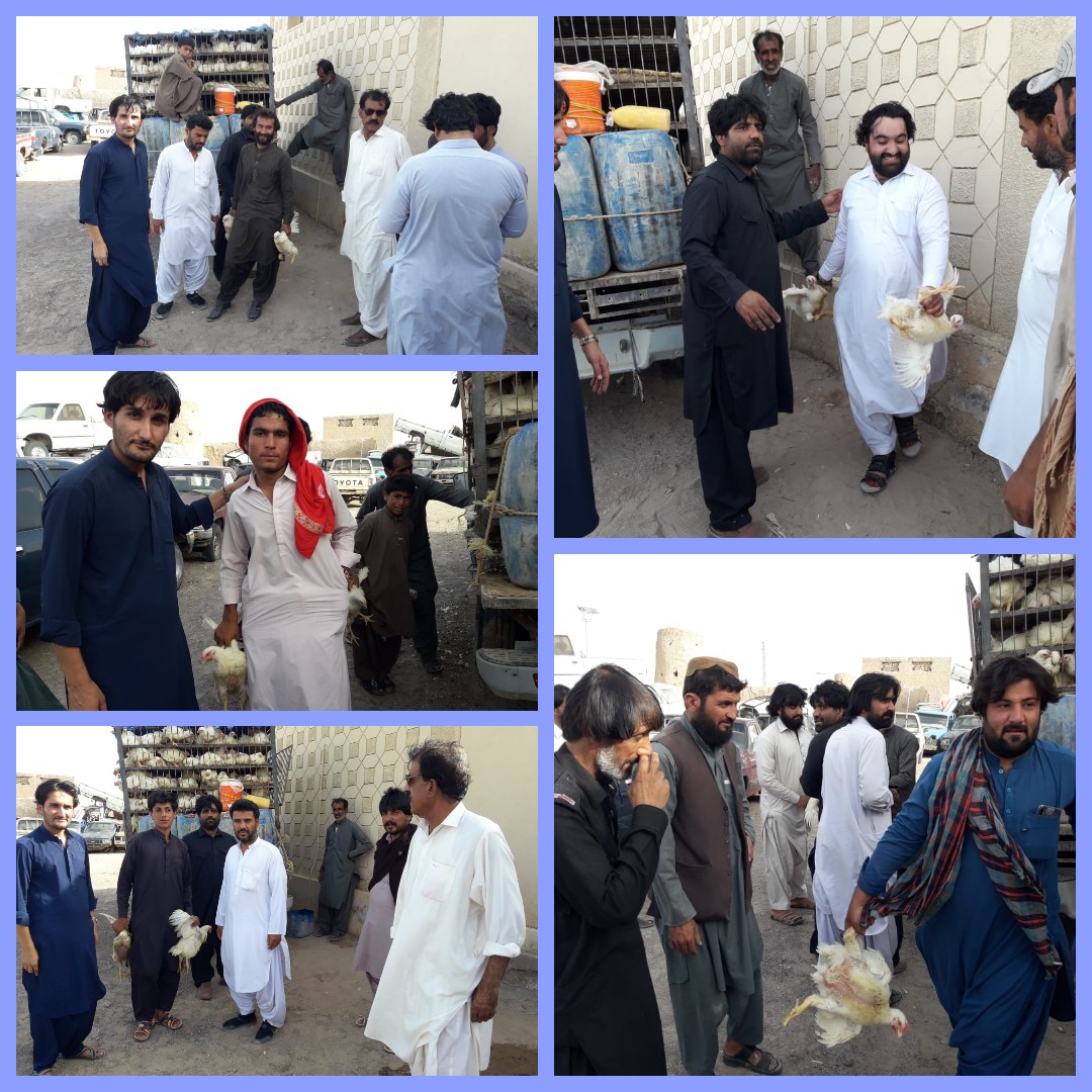 نوکنڈی،مرغیوں سے بھری گاڑی اسمگلنگ کی کوشش ناکام