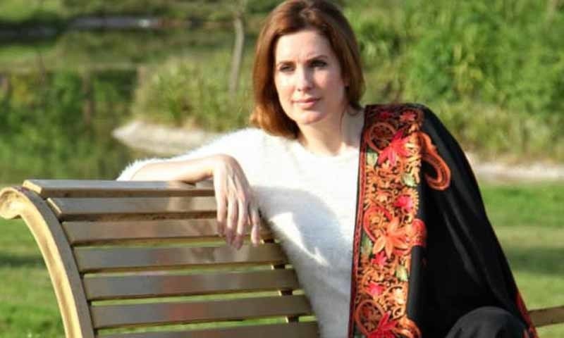 سنتھیا رچی کا پاکستان مخالف سرگرمیوں کی تحقیقات کرنے کا دعویٰ
