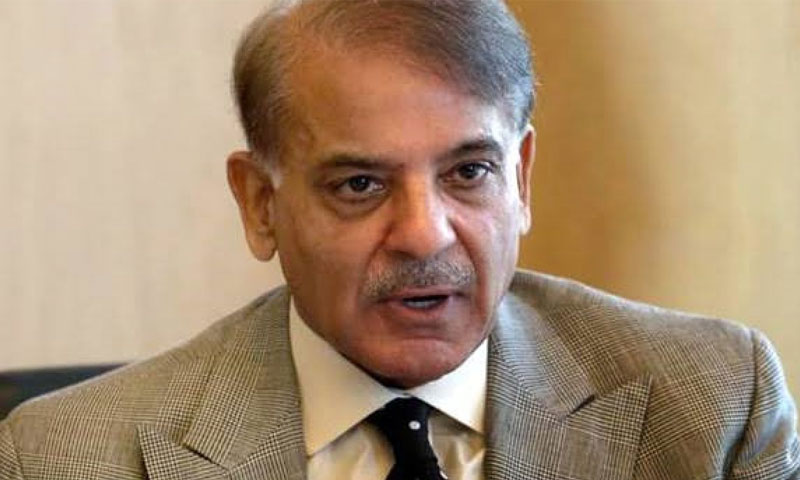 وفاقی، پنجاب حکومت اور موٹر وے پولیس خاتون کی بے حرمتی کو ٹیسٹ کیس بنائیں ‘ شہباز شریف