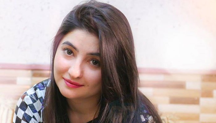 گل پانڑا نے ڈی سی خیبر کی رہائشگاہ پر ویڈیو کیسے بنائی؟ اصل کہانی سامنے آ گئی