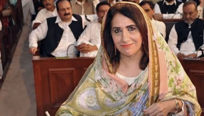 تحریک انصاف کی خاتون ایم پی اے عظمیٰ کاردار کی بنیادی پارٹی رکنیت ختم