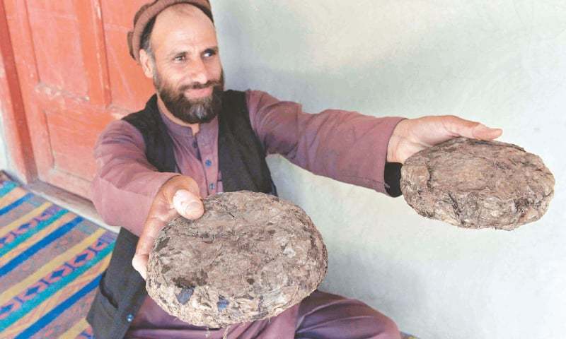 افغانستان: بے روزگار نوجوان ‘کام’ کیلئے افیون کے کھیتوں کا رخ کرنے لگے
