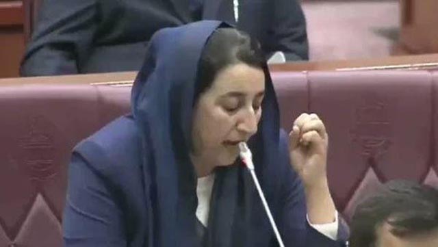 افغان صدر پر تنقید ،لویا جرگہ میں خواتین پر تشدد، جرگہ میدان جنگ بن گیا