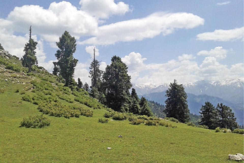 بٹگرام، وادی ناران کاغان سیاحوں کی آمد کیلئے کھول دی گئی