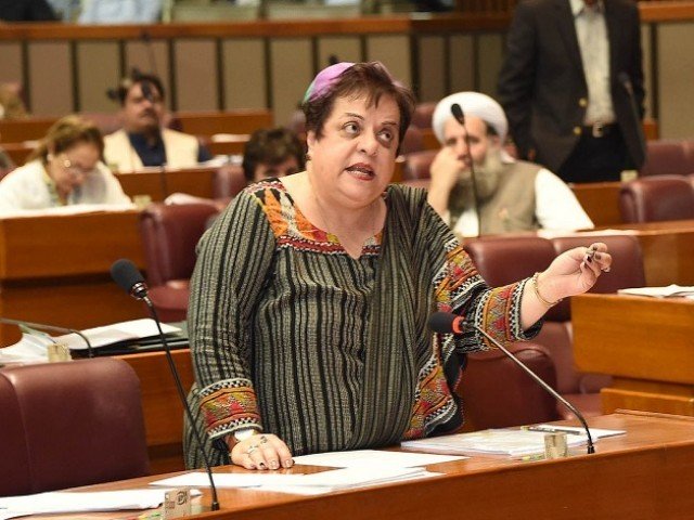 حیات بلوچ کا قتل ناقابل قبول ہے، قاتلوں کو سزا ملنی چاہیے، شیریں مزاری