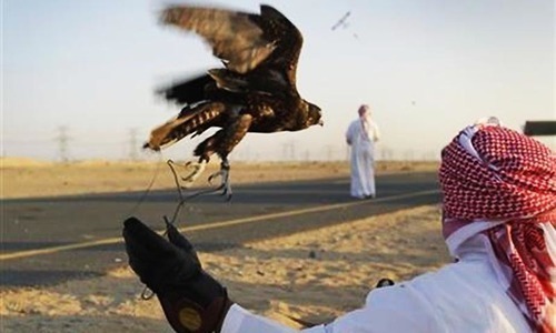 پاکستان سے دبئی شاہین برآمدگی کیس: سیکریٹری خارجہ، چیئرمین ایف بی آر کو نوٹس