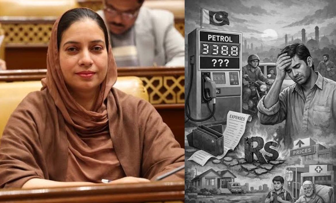’لیہ میں 8500 روپے بہت بڑی رقم ہے، پورا مہینہ گھر باآسانی چل جاتا ہے‘، ن لیگی ایم پی اے
