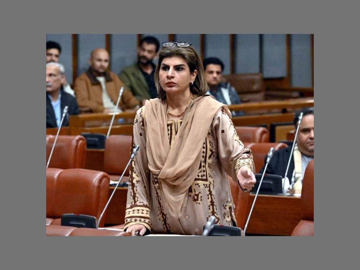 انسانی جانوں کے تحفظ کیلئے ضروری اقدامات ناگزیر ہیں،سینیٹر ثمینہ ممتاز زہری