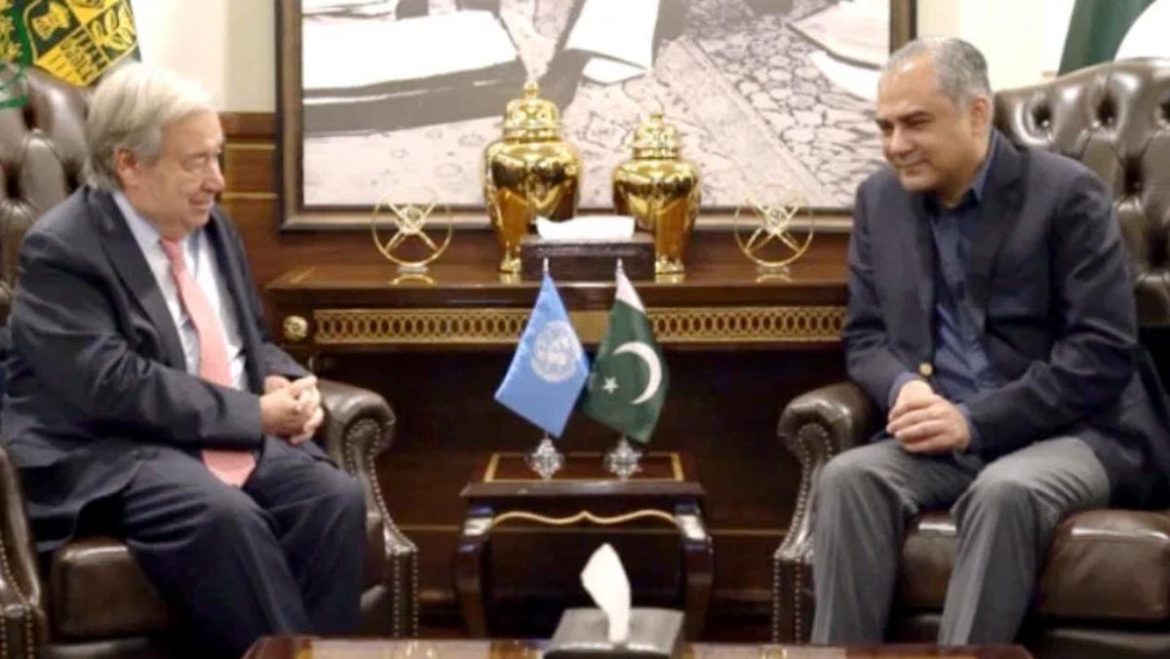 افغانستان میں اس وقت 25 دہشت گرد تنظیمیں کام کر رہی ہیں ، محسن نقوی